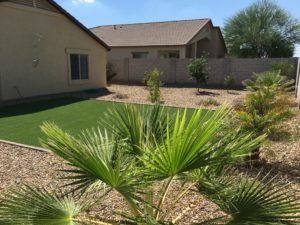 Backyard, Synthetic Grass, Cottonwood Ranch, Arizona Scenery, Desert Landscape