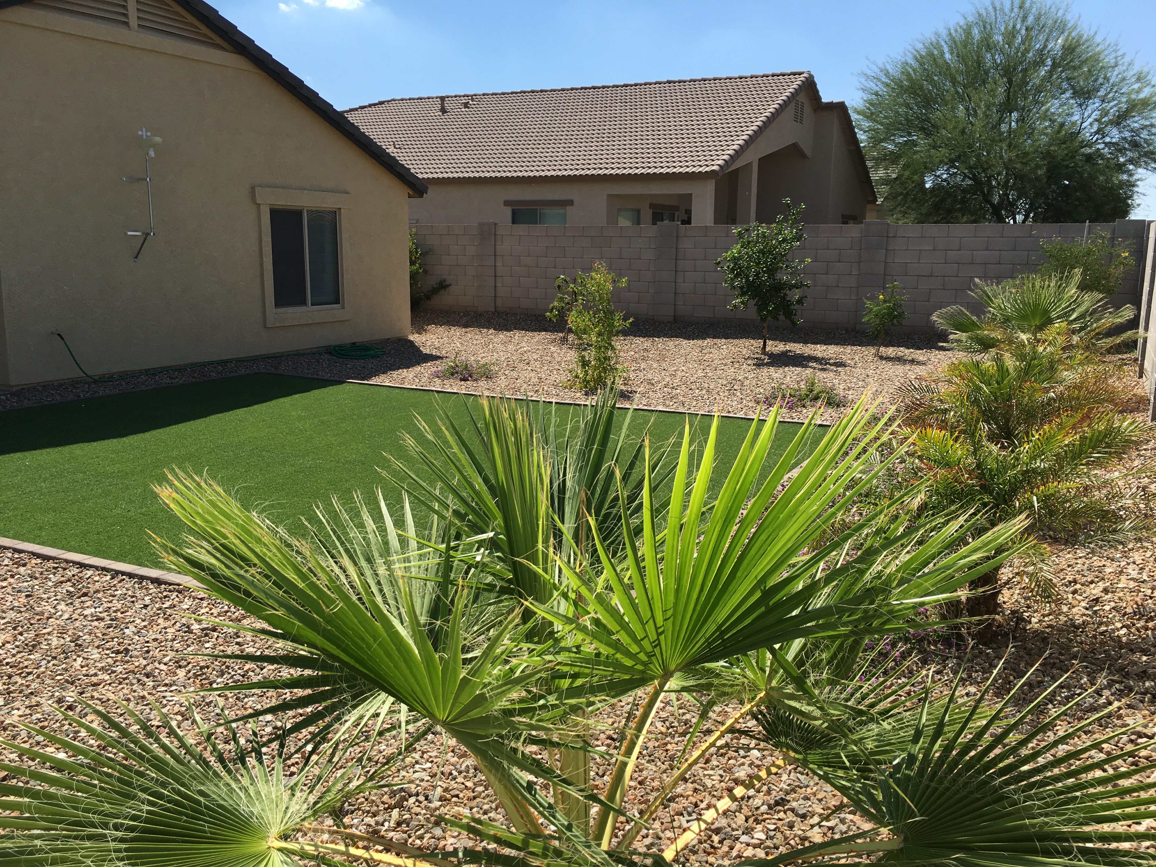 Backyard, Synthetic Grass, Cottonwood Ranch, Arizona Scenery, Desert Landscape